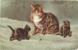 ** * 8 Db Régi Kutya és Macska Motívumlap, Közte Pár Litho / 8 Pre-1945 Dog And Cat Motive Cards, Among Them Few Lithos - Non Classificati