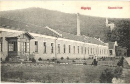 T2 Algyógy, Geoagiu; Szanatórium. 1908 Adler Fényirda / Sanatorium - Non Classificati