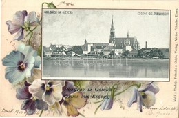 T2/T3 1900 Eszék, Esseg, Osijek; Virágos Litho Keret / Gor. Osiek Sa Sjevera / Ob. Drauansicht. Floral Litho Frame (EK) - Non Classificati