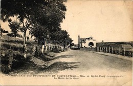 * T2/T3 Djebel-Kouif, Compagnie Des Phosphates De Constantine, Road To The Railway Station (EK) - Non Classés