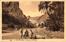 ** T3 El Kantara, L'Oued Et Les Gorges (EK) - Non Classés