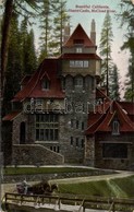 ** T3 California, McCloud River, Hearts Castle (EB) - Unclassified