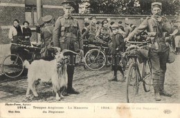 T2/T3 Troupes Anglaises, La Mascotte De Régiment / WWI British Army, Pet Goat Of The Regiment, Bicycle (EK) - Non Classificati