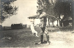 ** Osztrák-magyar Katona Kutya Kiképzés Közben / WWI Austro-Hungarian K.u.K. Soldier Training A Dog. Photo (EB) - Non Classificati