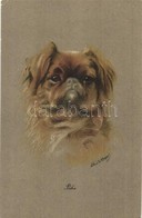 T2/T3 'Peke', Dog, S: Christin Gregor - Non Classificati