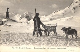 ** T2/T3 Grand St. Bernard, Domestique Allant á La Recontre D'un Voyageur / Dogs From Great St Bernard Pass (EK) - Non Classificati
