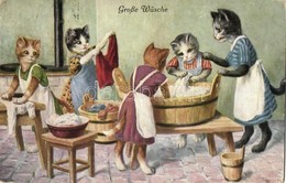 T2/T3 Grosse Wäsche / Big Laundry, Cats Washing Clothes. O.G.Z.L. 324/1625. - Non Classés