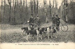 ** T2 Chasse A Courre En Foret De Fontainebleau / French Hunters In The Forest Of Fontainebleau, Dogs, Bicycle - Non Classificati