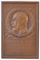 Rigele Alajos (1879-1940) 1910. 'Pirchala Imre Negyven éves M?ködésének Emlékére' Cu Plakett (76x51mm) T:2
HP 4501. - Non Classificati