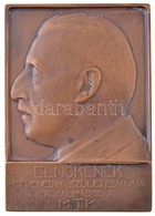 Szentgyörgyi István (1881-1939) ~1920. 'Elnökének ötvenedik Születésnapja Alkalmából A M.T.K.' Br Emlékplakett (78x112mm - Non Classificati