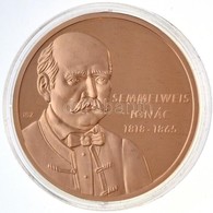 Ifj. Szlávics László (1959-) 2011. 'Nagy Magyarok / Semmelweis Ignác 1818-1865' Aranyozott Cu Emlékérem (40mm) T:PP - Non Classificati