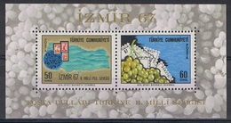 Turkije Y/T Blok 14 (**) - Blocks & Sheetlets