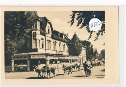 CPM ( 1953)  - 18232 -Allemagne (DDR)  -Georgenthal -Seltene Fotokarte Kühe Beim Durczug Durch Die Stadt -Envoi Grartuit - Georgenthal