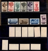 0570 COLONIE ITALIANE - LIBIA - 1932 - Sesta Fiera (108/117) - Serie Completa - Gomma Integra (900) - Autres & Non Classés