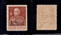 0599 COLONIE ITALIANE - SOMALIA - 1925 - 60 Cent Giubileo (671) Dentellato 11 - Gomma Integra - Diena (750) - Other & Unclassified