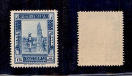 0608 COLONIE ITALIANE - SOMALIA - 1935 - 1,25 Lire Pittorica (223) - Gomma Integra - Ottimamente Centrato - Molto Bello  - Autres & Non Classés