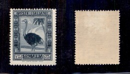 0609 COLONIE ITALIANE - SOMALIA - 1938 - 2,55 Lire Pittorica (226) - Traccia Di Linguella (700) - Other & Unclassified