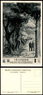 1702 CARTOLINE - MILITARI - MVSN - 7° Legione "Caserta" Milizia Nazionale Forestale - Illustratore F.G. - Nuova (200) - Autres & Non Classés