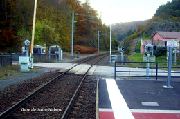 Gare De Saint-Nabord , Vosges  - Carte Photo Moderne - Stations Without Trains