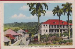 Old Postcard Virgin Lane And Presbytery Dominica Caribbean Sea Caraïbes Lesser Antilles Antillen West Indies British - Dominique