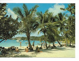 Vente Flash / Guadeloupe 97133  Saint-Barthélémy Sous Les Cocotiers CPM Voy.1989  N° S 017 / Bon état Petit Prix - Saint Barthelemy