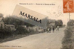 CPA  Noiseau   Route De La Queue En Brie - Noiseau