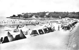 17-VAUX-NAUZAN- LA PLAGE ET LA CORNICHE - Vaux-sur-Mer