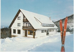 OPPENAU - LÖCHERBERG  -   BERGGASTHAUS BRAUNBERGSTÜBLE   -   Verlag : HUBER Aus Peterstal  Nr / - Oppenau