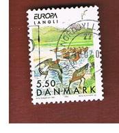 DANIMARCA (DENMARK)  - 1999 EUROPA  - USED - 1999