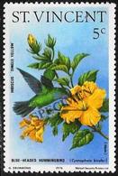 St. Vincent/Saint-Vincent: Specimen, Cyanophaia Bicolor - Colibríes