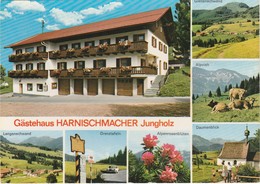 JUNGHOLZ  -   GÄSTEHAUS HARNISCHMACHER + 6 ANSICHTEN   -   Verlag : A. TANNER Aus Nesselwang  Nr 5767 C - Jungholz