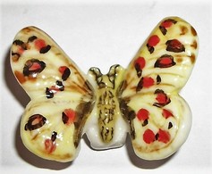 Papillon Turkestan (CE) - Animaux