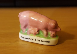 Fève - Naissance à La Ferme - Animaux