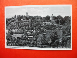 Blick Auf Den Marienberg - Marienberg