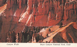 Bryce Canyon National Park - Canyon Walls - Bryce Canyon