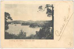 New Zealand - Stewarts Island - Looking Into Oban - Nouvelle-Zélande