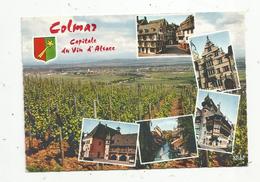 Cp , Agriculture ,vignes , 68 , COLMAR , Capitale Du Vin D'Alsace , Multi Vues ,écrite , Ed. La Cigogne - Viñedos