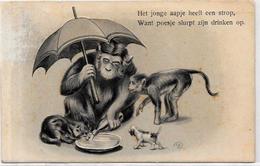 CPA Singe Monkey Position Humaine Habillé Circulé Gaufré Chat Cat - Singes