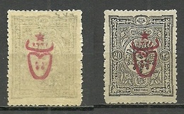 Turkey; 1917 Overprinted War Issue Stamp 20 P. ERROR "Offset Overprint On Back" - Unused Stamps