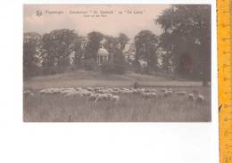 Delcampe - 46838 - POPERINGHE SANATORIUM ST IDESBALD OP DE LOVIE ZICHT UIT HET PARK - Poperinge