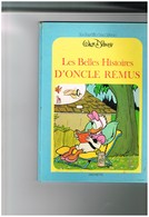 Style BD Le Jardin Des Rêves Walt Disney Les Belles Histoires D'oncle Rémus  Hachette Basile Popop écologiste  Michkey - Disney