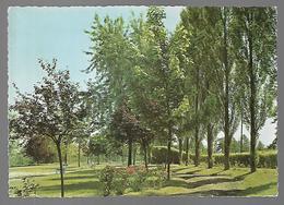 Delcampe - Cpm 7713717 La Ferté Gaucher Le Square - La Ferte Gaucher