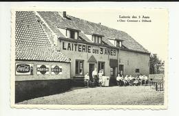 BELGIQUE . DILBEEK . CAFE " LAITERIE DES 3 ANES "   CHEZ CONSTANT . PROP. CONSTANT STAET-SMET - Dilbeek