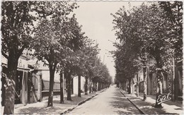 95 -  CORMEILLES EN PARISIS    L'Avenue Foch - Cormeilles En Parisis