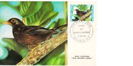 NOUVELLE CALEDONIE - CARTE (CM) De 1985 N° 511 - Covers & Documents