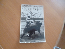 Carte Photo Corrida Torro Taureau Gonsanhi Sevilla Nino De La Puerta Real - Corrida