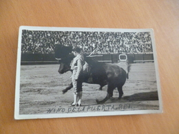 Carte Photo Corrida Torro Taureau Serrano  Sevilla Nino De La Puerta Real - Stierkampf