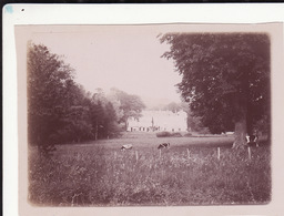 Photo 1898 SAINT-SULPICE-DE-FAVIERES - Une Vue, Le Château (A194) - Saint Sulpice De Favieres