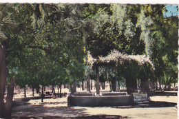 Algérie,ORAN,wilaya De LAGHOUAT,daira,villa La Plus Haute D'algérie,jardin Public En 1959,rare,afrique,aflou - Oran