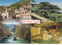 ASIE,ASIA,LIBAN,LEBANON,CHOUF,DEIR AL KAMAR,CEDRE,carte Multivue - Liban